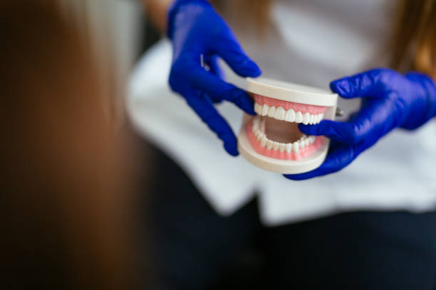 Best Dental Exams and Cleanings  in Loris, SC